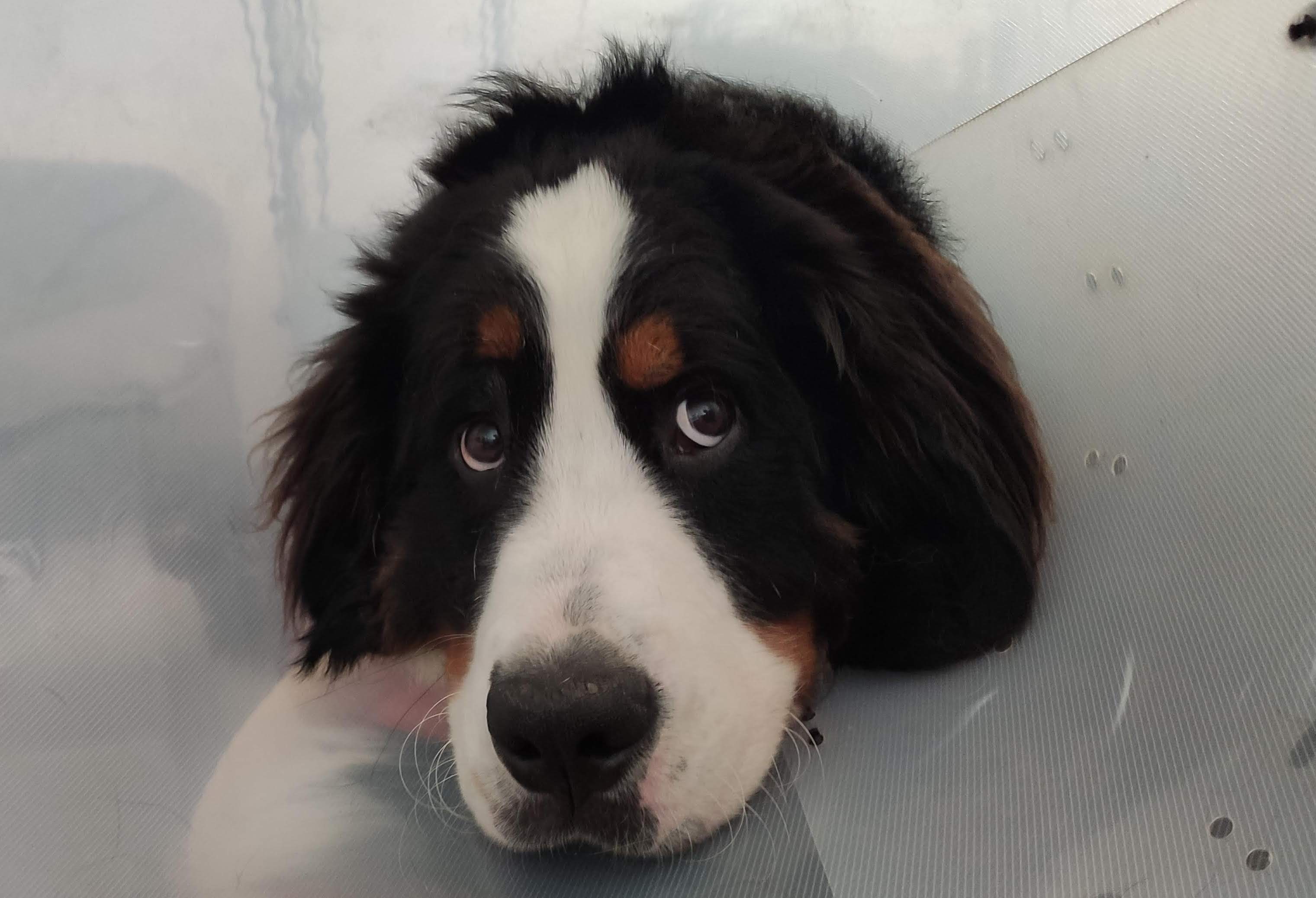 der Toni im Trichter